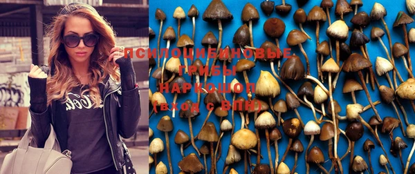 мдпв Кулебаки