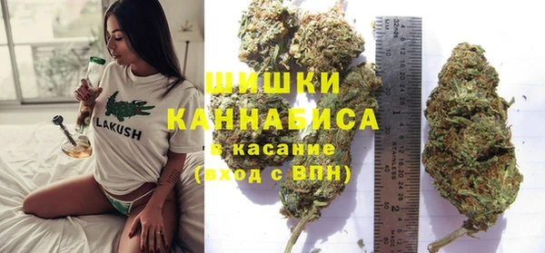 мдпв Кулебаки