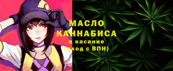 мдпв Кулебаки